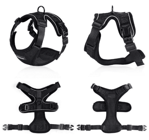 Escapeguard Cat Vest Harness And Car Seat Belt Adapter - Adjustable, Reflective, And Escape-Proof Harness For Cats And Small Dogs