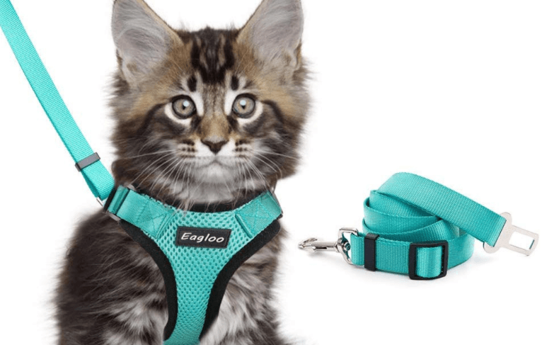 Escapeguard Cat Vest Harness And Car Seat Belt Adapter - Adjustable, Reflective, And Escape-Proof Harness For Cats And Small Dogs