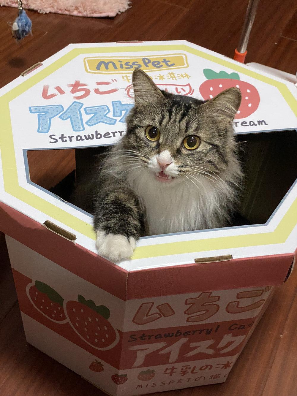 Scratchy Fun Cat Litter Corrugated Paper - Blue/Pink Strawberry Milk Vanilla Milk