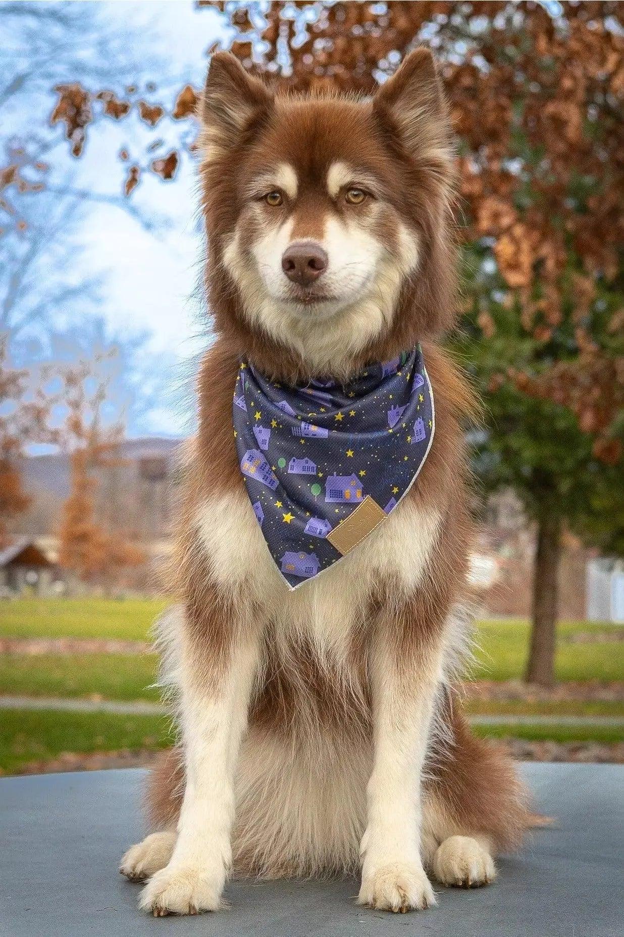 Starry Embrace Dog Bandana