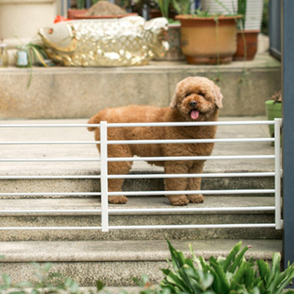 Innovative Pet Dog Isolation Fence - No Drilling Required!